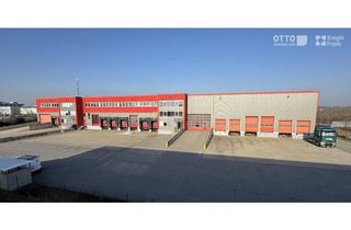 Büro zu mieten in 1300 Mannswörth, Logistikobjekt direkt am Flughafen Wien