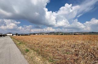 Grundstück zu kaufen in 4782 Sankt Florian am Inn, Baugrund sonnige und ebene Lage in Haid