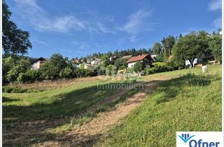 Grundstück zu kaufen in 8572 Hochtregist, Grundstück mit Aussichtslage in Bärnbach