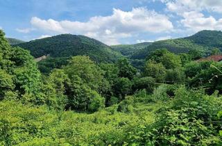 Grundstück zu kaufen in Höhengasse 38, 2391 Kaltenleutgeben, Rarität in Toplage – Baugrundstück mit Fernblick in Kaltenleutgeben