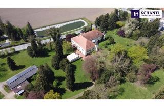 Haus kaufen in 8410 Wildon, Ein Märchenschloss Nähe Wildon-komplett saniert mit prachtvoller ca. 40.000m² Parkanlage - Biomasseheizung!