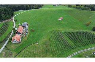 Gewerbeimmobilie kaufen in 8570 Voitsberg, Tolle Landwirtschaft in Top-Lage und Stadtnähe
