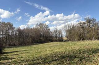 Grundstück zu kaufen in 4942 Gurten, Idyllisches Baugrundstück im Grünen