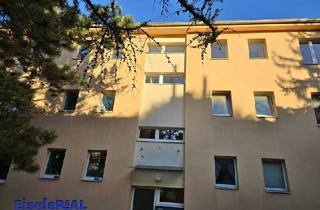 Wohnung mieten in 2380 Perchtoldsdorf, tolle 2 Zimmer Wohnung, extra Küche