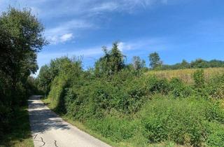 Gewerbeimmobilie kaufen in 9300 Sankt Veit an der Glan, St Veit / St Donat : 2,7 Ha Land- und Forstw. -Grundstück mit Widmungpotenzial , zzt Pferde Weide mit Stall & Quelle, in traumhafter Lage in Kärnten - für 279.000,00 € zu haben!