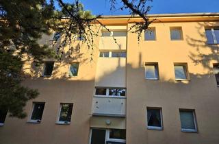 Wohnung mieten in 2380 Perchtoldsdorf, tolle 2 Zimmer Wohnung, extra Küche