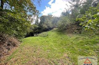 Haus kaufen in 3571 Gars am Kamp, Haus mit wunderschönem großen Grund und Blick über Gars/Kamp!