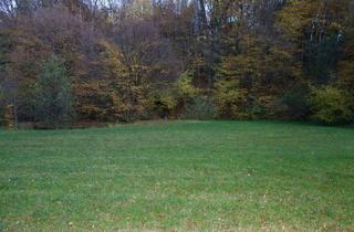 Grundstück zu kaufen in Kaltwasserstrasse, 3413 Hintersdorf, TRAUMHAFTES GRUNDSTÜCK AM STEINRIEGL