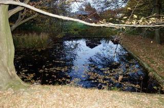 Grundstück zu kaufen in Kaltwasserstrasse, 3413 Hintersdorf, TRAUMHAFTES GRUNDSTÜCK MIT TEICH AM STEINRIEGL