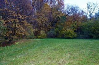 Grundstück zu kaufen in Kaltwasserstrasse, 3413 Hintersdorf, TRAUMHAFTES GRUNDSTÜCK MIT TEICH AM STEINRIEGL