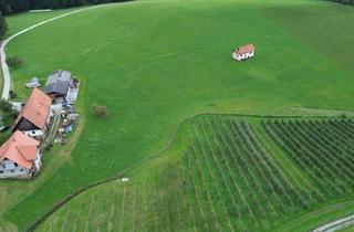 Immobilie kaufen in Obstbau Schlosser, Buschenschank Grillbauer, 8570 Voitsberg, Tolle Landwirtschaft in Top-Lage und Stadtnähe