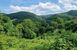 Grundstück zu kaufen in Höhengasse 38, 2391 Kaltenleutgeben, Rarität in Toplage - Baugrundstück mit Fernblick in Kaltenleutgeben