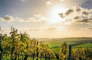 Haus kaufen in Südsteiermark, Weinebene, Slowenien, 8462 Gamlitz, Exklusiv! Besondere Anwesen in der wunderschönen Südsteiermark - Ihr Rückzugsort mit Charme, Komfort und einen unvergleichbarem Flair!