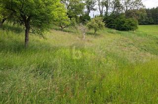 Grundstück zu kaufen in 9560 Feldkirchen in Kärnten, SEHR VIEL POTENTIAL