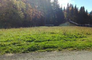 Grundstück zu kaufen in 9500 Villach-Innere Stadt, Grundstück für Privatpersonen oder Bauträger