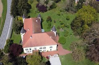 Haus kaufen in Innenstadt, 8410 Wildon, Ein Märchenschloss Nähe Wildon-komplett saniert mit prachtvoller ca. 40.000m² Parkanlage - Biomasseheizung!