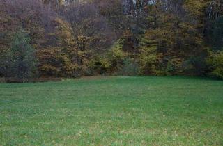 Grundstück zu kaufen in Kaltwasserstrasse 1, 3413 Hintersdorf, TRAUMHAFTES GRUNDSTÜCK AM STEINRIEGL