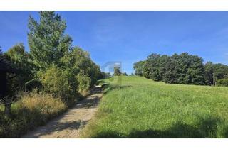 Gewerbeimmobilie kaufen in 2391 Kaltenleutgeben, ROMANTISCHER GRUND MIT GRÜNLANDWIDMUNG