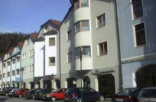 Wohnung mieten in Eisenstraße 49, 4460 Losenstein, Losenstein V - Whg. Nr. IV/1/2