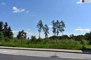 Grundstück zu kaufen in 8301 Laßnitzhöhe, Wunderbares Bauträgergrundstück in Bestlage Nähe 8301 Laßnitzhöhe