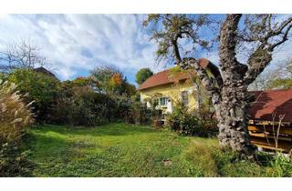 Einfamilienhaus kaufen in 7423 Pinkafeld, Entzückendes Einfamilienhaus mit Gartenoase in sonniger Lage