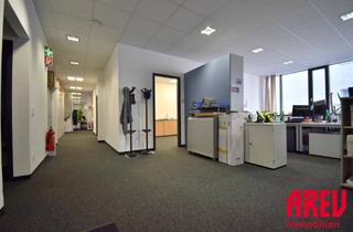 Büro zu mieten in Sandgasse 14A, 4020 Linz, SOFORT BEZIEHBAR - HR NEUES WOHLFÜHLOFFICE ERWARTET SIE - B01