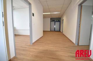 Büro zu mieten in Kornstraße, 4060 Leonding, MODERN - PROFESSIONELL - BEGEHRT - DEINE NEUE BÜROFLÄCHE IN LEONDING - B01