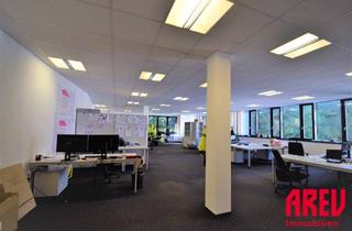 Büro zu mieten in Sandgasse 14a, 4020 Linz, TOPLAGE - ATTRAKTIVES BÜRO IN LINZ INKL. 5 PARKPLÄTZEN !