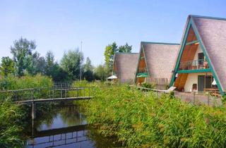 Haus mieten in 7083 Purbach am Neusiedler See, WIE FERIEN DAS GANZE JAHR - LEBEN IM NATURSCHUTZGEBIET
