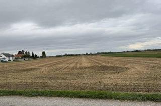 Gewerbeimmobilie kaufen in 2453 Sommerein, Großes Grundstück mit Entwicklungspotenzial in Sommerein – Nähe Bauland-Betriebsgebiet und Bauland-Wohngebiet!