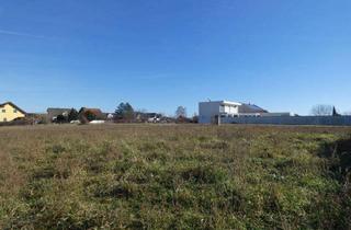 Grundstück zu kaufen in 7141 Podersdorf am See, BAUGRUNDSTÜCK IN SEENÄHE GRÜNHRUHELAGE