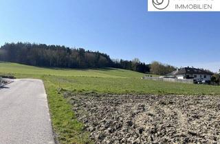 Grundstück zu kaufen in 4633 Kematen am Innbach, Sonniges Baugrundstück in Kematen am Innbach I Parzelle 3 von 4