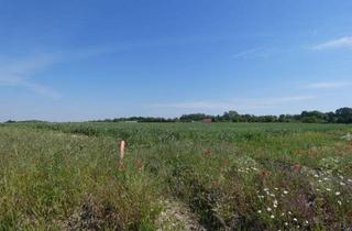 Grundstück zu kaufen in 2474 Gattendorf, NATURNAHER BAUGRUND NÄHE WIEN BRATISLAVA