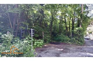 Grundstück zu kaufen in 1230 Wien, BAUGRUNDSTÜCK mit eigenem WALD in KALKSBURG