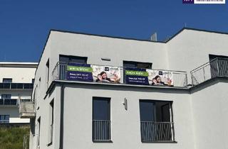 Doppelhaushälfte kaufen in Reiteregg, 8113 Sankt Oswald bei Plankenwarth, Exklusive Doppelhaushälfte in den Weinbergen - Höchste Energieeffizienz mit Erdwärmeheizung für modernes Wohnen und Genießen!