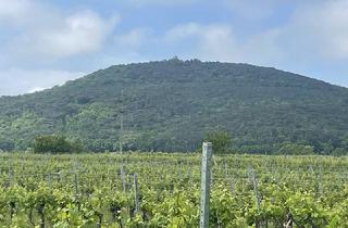 Grundstück zu kaufen in 2504 Sooß, 2.059 Quadratmeter: Traumhaftes Baugrundstück in Sooß – für Ihr neues Eigenheim!!