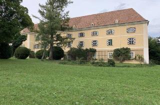 Wohnung kaufen in Schloß Strelzhof, 2732 Strelzhof, SCHLOSS STRELZHOF: Stilvolles Wohnen mit idyllischem Parkblick, einem Pferdeparadies und traumhafter Grünruhelage