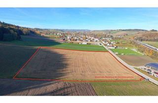 Grundstück zu kaufen in 4633 Straß, Betriebsbaugebiet ohne "Bauzwang" verkehrsgünstig gelegen direkt an einer Landesstraße.