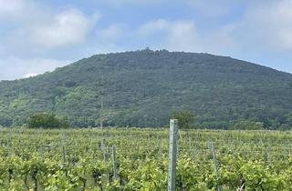 Grundstück zu kaufen in 2504 Sooß, 2.059 Quadratmeter: Traumhaftes Baugrundstück in Sooß – für Ihr neues Eigenheim!!