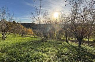 Gewerbeimmobilie kaufen in 8362 Ruppersdorf, 6.026m² Land und Forstwirtschaftliche Fläche in Ruppersdorf