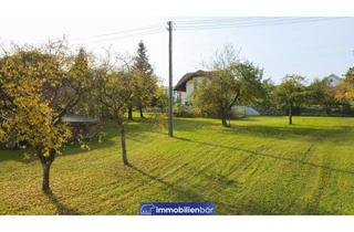 Grundstück zu kaufen in 4720 Auing, Grundstück mit viel Potential und Lagerfläche- ohne Bauzwang