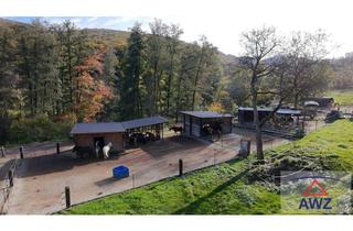 Gewerbeimmobilie kaufen in 3400 Klosterneuburg, Großzügiger Pferdehof in Klosterneuburg!