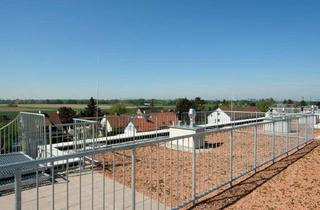 Wohnung mieten in Lannesstraße 80, 1220 Wien, 3 Zimmer Dachgeschoßwohnung mit Terrasse T41_Gartenhaus22_