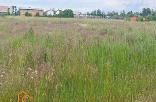 Grundstück zu kaufen in 2285 Leopoldsdorf im Marchfelde, GEWERBEBAUGRUNDSTÜCK in LEOPOLDSDORF im MARCHFELD