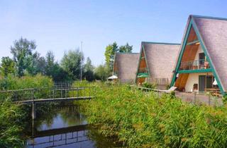Haus mieten in 7083 Purbach am Neusiedler See, WIE FERIEN DAS GANZE JAHR - LEBEN IM NATURSCHUTZGEBIET
