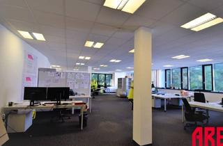 Büro zu mieten in Sandgasse 14A/B 03, 4020 Linz, TOPLAGE - ATTRAKTIVES BÜRO IN LINZ INKL. 5 PARKPLÄTZEN !