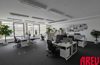 Büro zu mieten in Blumauerstraße 41-43, 4020 Linz, MODERNE GROSSZÜGIGE BÜROFLÄCHE IN ZENTRALER LAGE - 1.OG