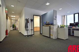 Büro zu mieten in Sandgasse 14A/B 01, 4020 Linz, SOFORT BEZIEHBAR - HR NEUES WOHLFÜHLOFFICE ERWARTET SIE - B01