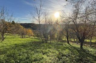 Grundstück zu kaufen in 8362 Ruppersdorf, 6.026m² Land und Forstwirtschaftliche Fläche in Ruppersdorf