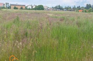 Grundstück zu kaufen in 2285 Leopoldsdorf im Marchfelde, GEWERBEBAUGRUNDSTÜCK in LEOPOLDSDORF im MARCHFELD